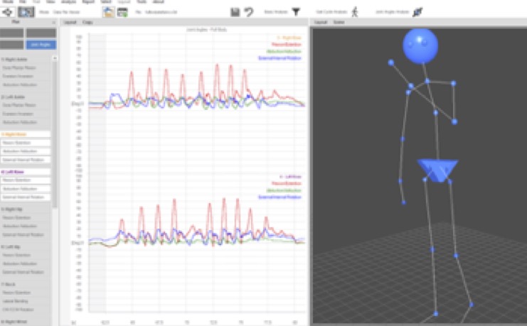ジョイントアングル解析