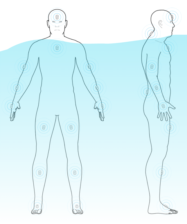 水中全身関節角度解析