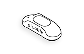 PicoLite